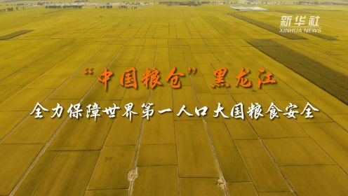“中国粮仓”黑龙江全力保障世界第一人口大国粮食安全