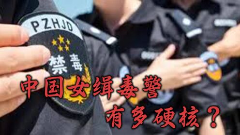 第13集中国女缉毒警有多硬核?功勋女缉毒警:王云荣!_高清1080P在线观看平台_腾讯视频