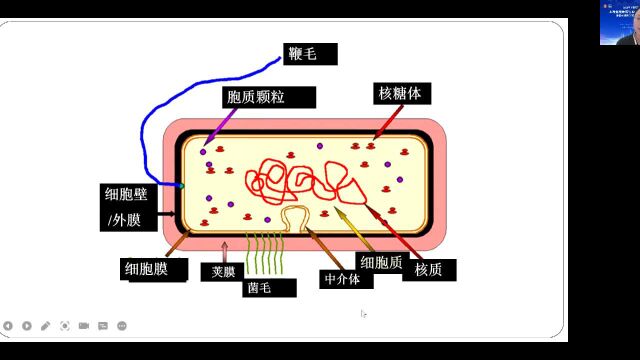 《生物药研发实验技能》赛前培训 (第一部分)