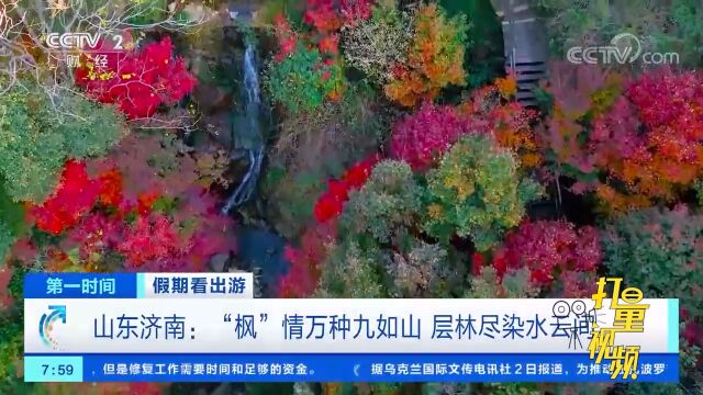 山东济南:“枫”情万种九如山,层林尽染水云间