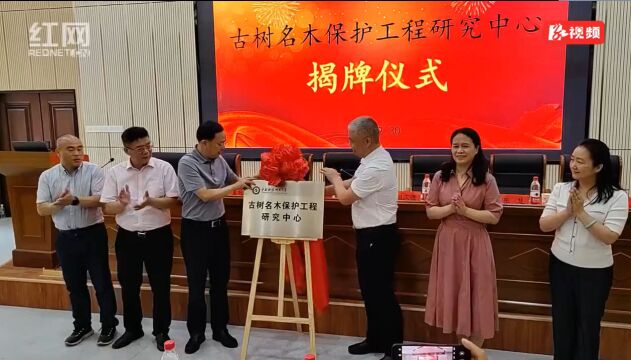 湖南启动2022古树名木保护科普宣传月:古树名木保护工程研究中心成立