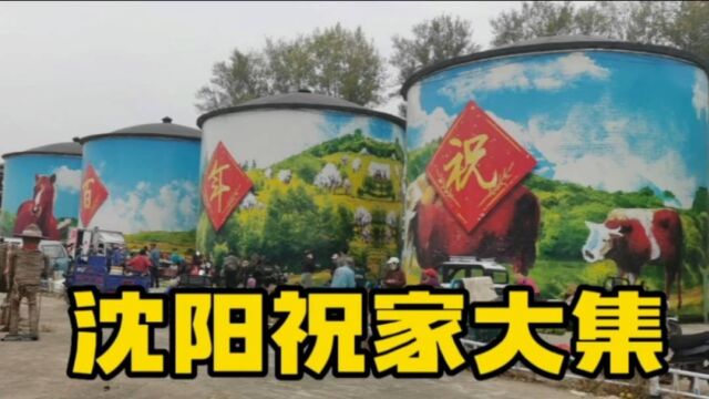 国庆第一天逛沈阳祝家大集,看这些菜价格便宜吗?认识这是啥吗?