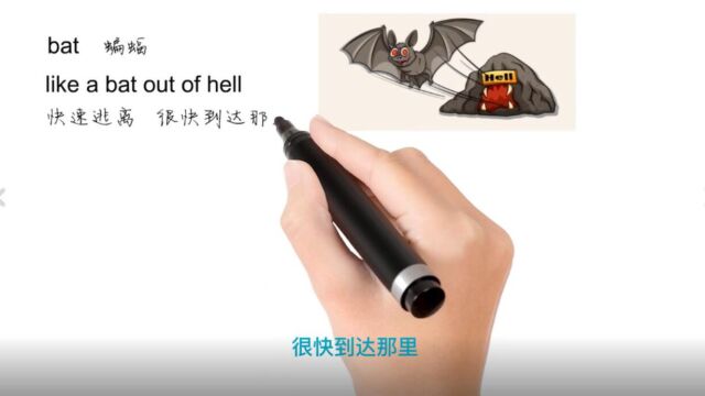 英语思维解密,为什么like a bat out f hell表示移动得非常快,轻松学英语