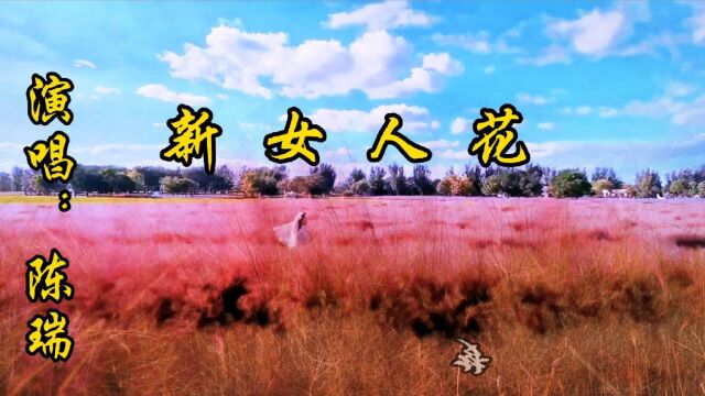 陈瑞的《新女人花》曲调优美,歌声娓婉,请欣赏!