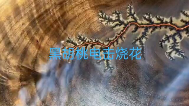 第385期丨木作篇之黑胡桃木电击木烧花,带给你不一样的视觉感受