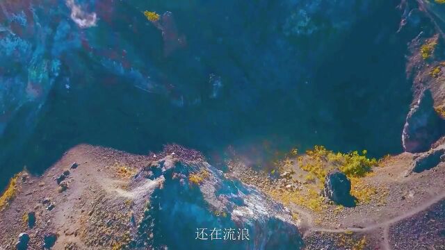 还在流浪周杰伦(完整版)