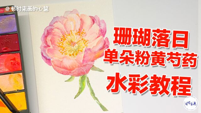 珊瑚落日单朵粉黄芍药怎么画?脱稿手绘花卉,学画画水彩教程