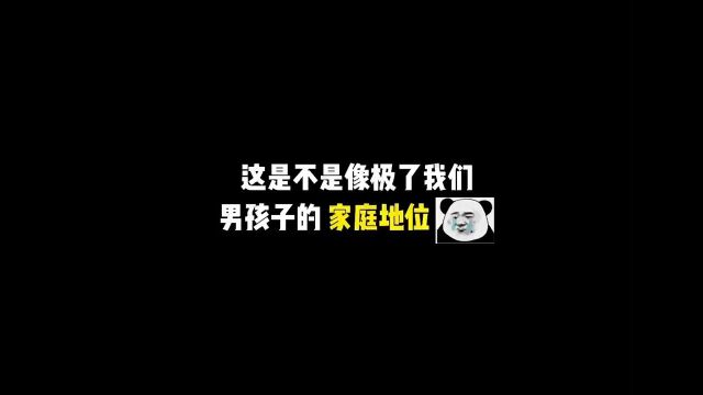 属于我们男孩子的《家庭弟位》