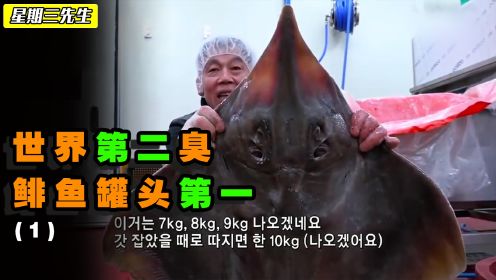 鲱鱼罐头世界第一臭，它世界第二臭，纪录韩国魟鱼制作过程