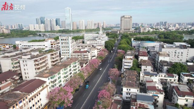 视频|惠州全域打造花园城市:城在山水中、家在花园里