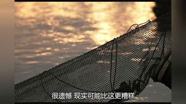 看平均,没意义 | 钛赞了视频周榜第67期