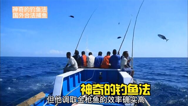 神奇的钓鱼法,只需要向海里抛入鱼诱,就能将海里的金枪鱼钓上来