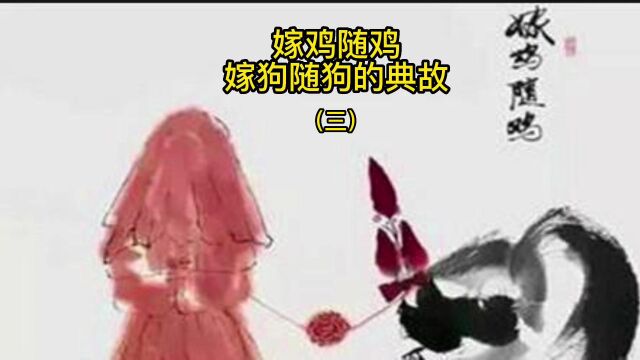 嫁鸡随鸡,嫁狗随狗原来是这么来的(三)