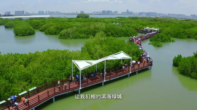 重磅!茂名喜获“国家森林城市”称号!