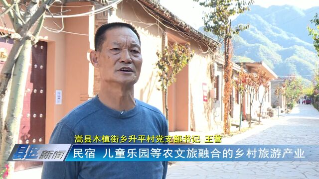 嵩县升平村:百日菊盛开扮靓美丽乡村