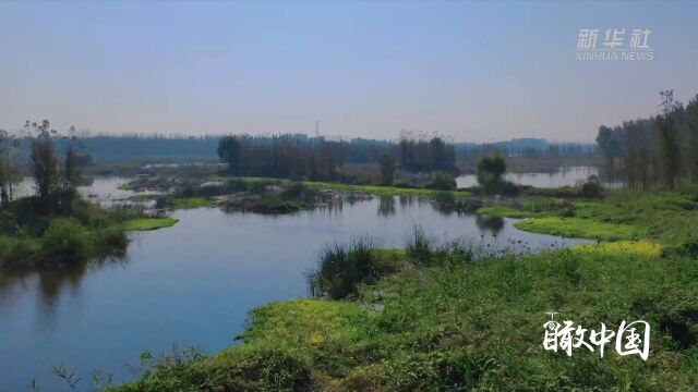 瞰中国|山东诸城:走近潍河 共赏美景