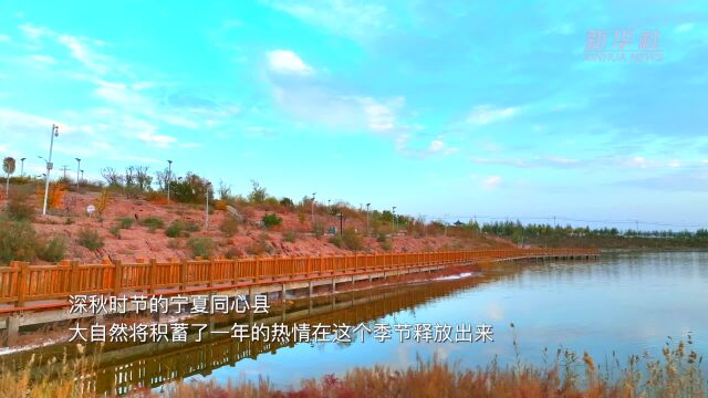 千城胜景|宁夏同心:层林尽染满目秋