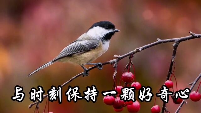 这篇《退休书》看醒很多退休人!人手一份,受益无穷!