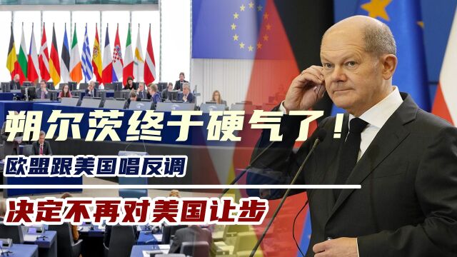 朔尔茨终于硬气了!欧盟跟美国唱反调,决定不再对美国让步