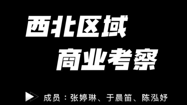 西北区域公司2022届启明星商业项目考察视频