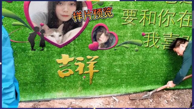 草坪鲜花学霸人脸保健建筑金属眨眼美容媒体点头批发批发摇头