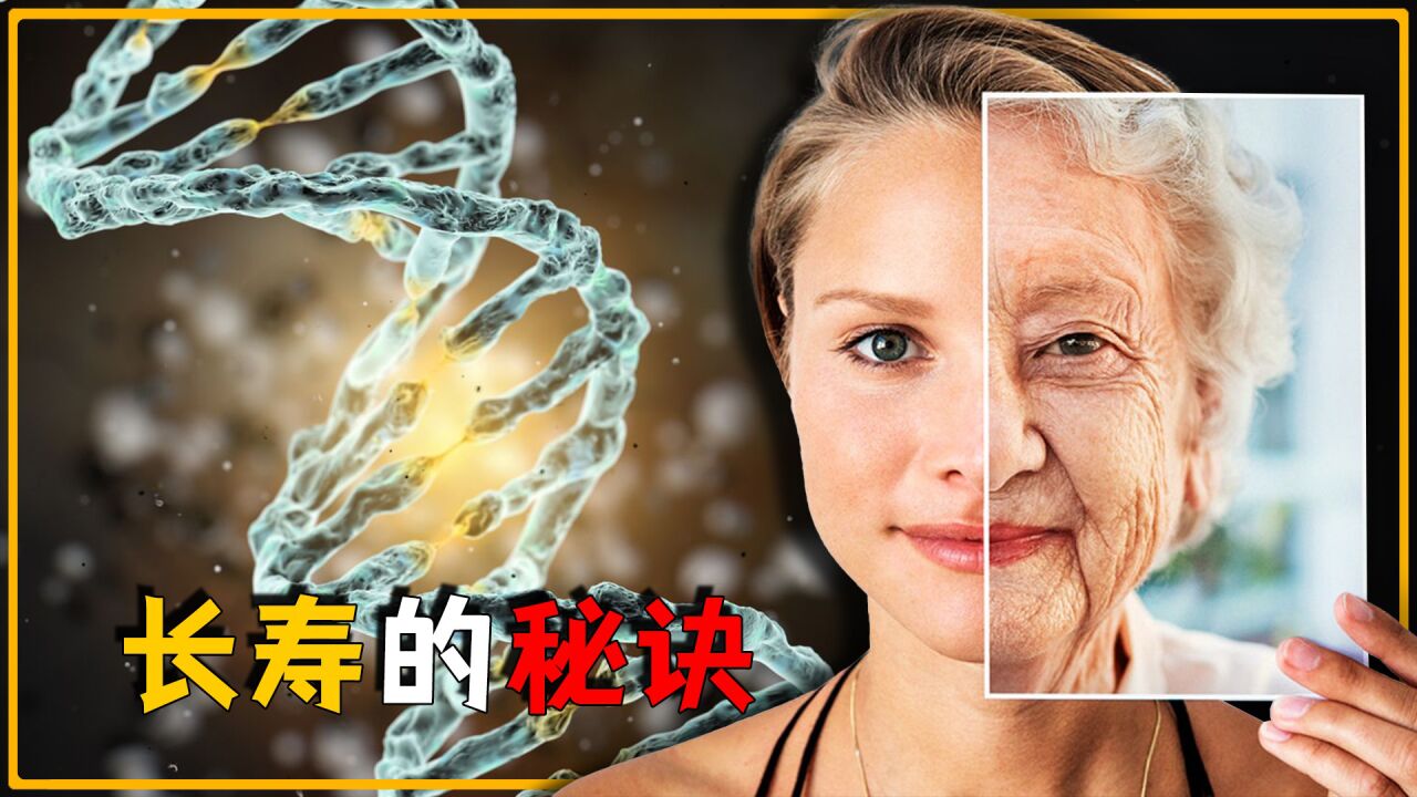 揭秘长寿真相？这是一条可以真实延缓衰老，告诉你怎么长寿的视频_高清1080P在线观看平台_腾讯视频