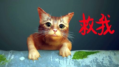 猫猫冒险：猫咪失足掉下山谷，为了回家开启它的冒险之旅