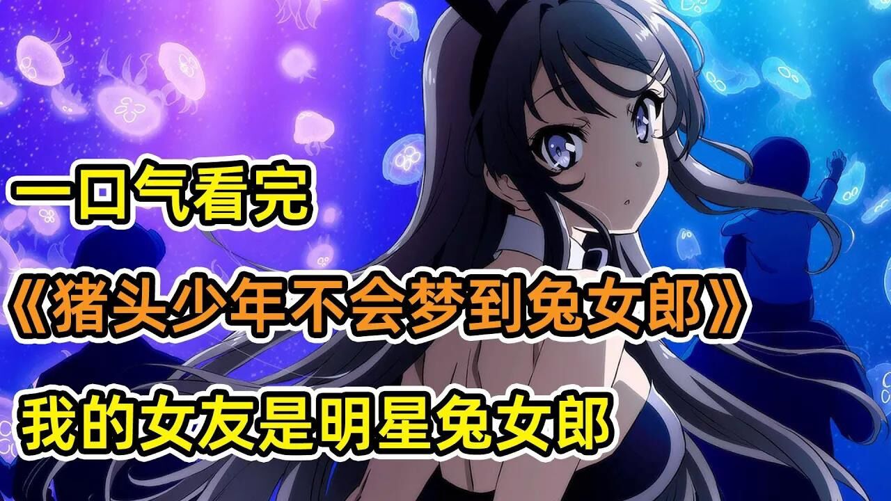 一口气看完《青春猪头少年不会梦到兔女郎学姐》！_高清