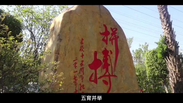 华附南海实验高中 20周年校庆宣传片 字幕版