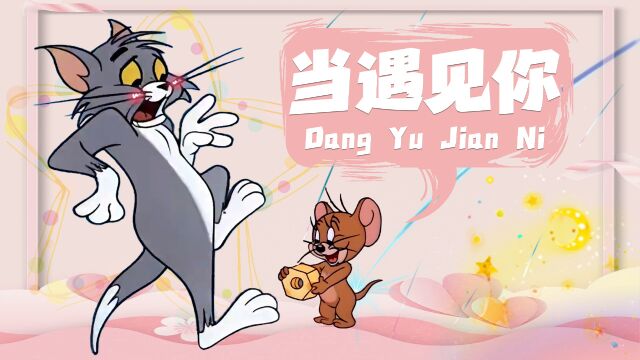 猫和老鼠:猫鼠演绎《当遇见你》,能够相遇,是我们彼此的幸运