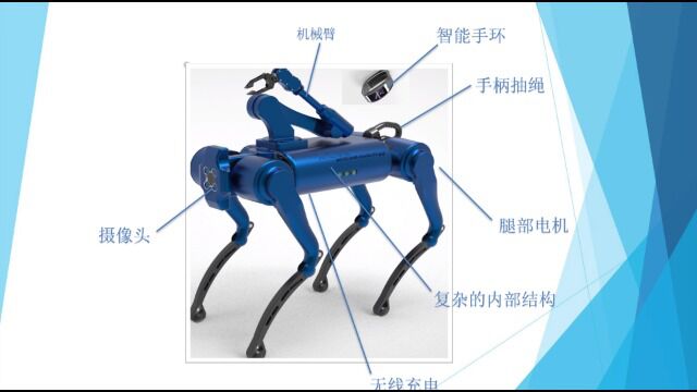 长江师范学院|天庭工作室盲人机械狗