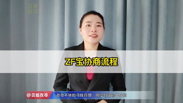 教你ZF宝协商流程