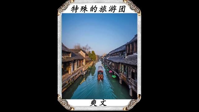 书名《特殊的旅游团》#小说 #爽文