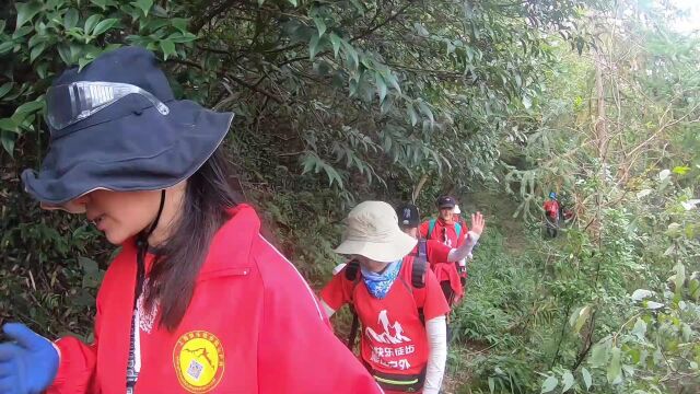 上海周末户外徒步登山 旅游 健身跑步 锻炼 大岗脑续集9 上海快乐徒步爬山户外