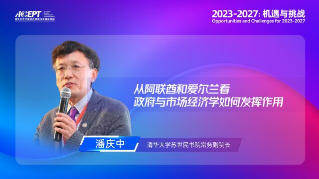 潘庆中:从阿联酋和爱尔兰看政府与市场经济学如何发挥作用