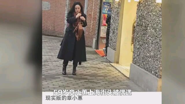 59岁章小蕙上海街头被偶遇,打扮精致气质出众,已长居内地做网红