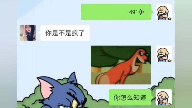 为什么说我疯了