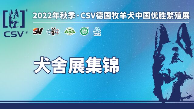 2022年秋季ⷃSV德国牧羊犬中国优胜繁殖展犬舍展示组集锦