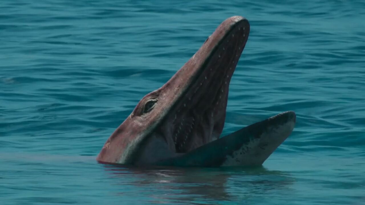 第06集 蛇颈龙与沧龙的争霸赛_高清1080p在线观看平台_腾讯视频