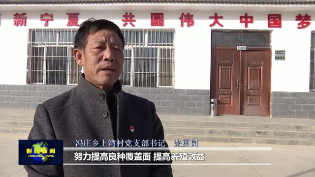 【深入学习宣传贯彻党的二十大精神】冯庄乡上湾村:打造群众增收致富“牛”产业