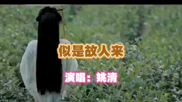 姚清演唱的歌曲《似是故人来》,请欣赏