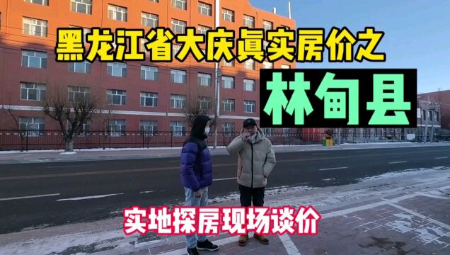 黑龙江省大庆市林甸县号称温泉之都真实房价,鬼哥实地探房,现场与房主谈价