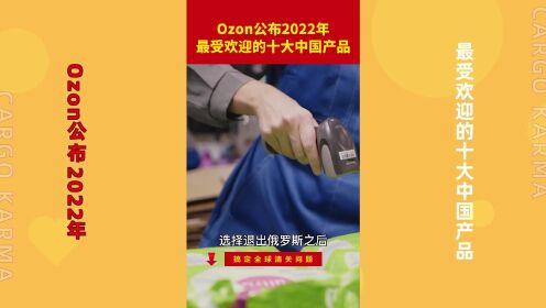 Ozon公布2022年最受欢迎的十大中国产品