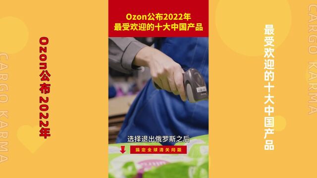 Ozon公布2022年最受欢迎的十大中国产品