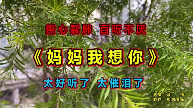 汤潮一首《妈妈我想你》太感人了,歌声感人肺腑,唱哭多少儿女!