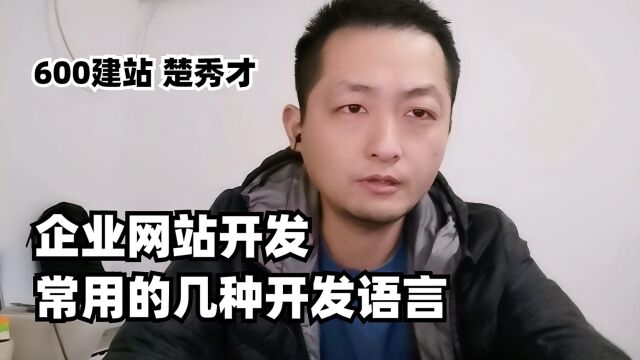 企业网站开发中常用的几种开发语言