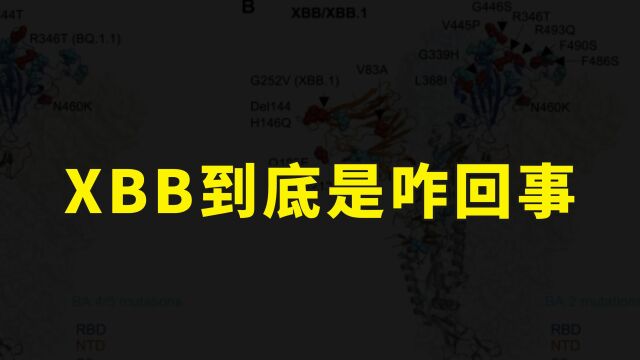 XBB到底会不会引发腹泻?为什么传染力极强?顶级论文中就有答案