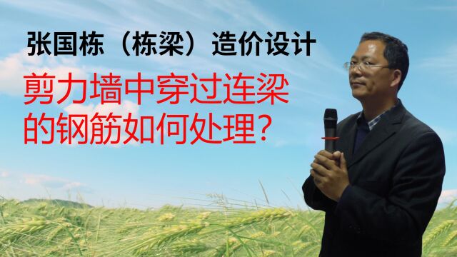 张国栋(栋梁)造价设计:剪力墙中穿过连梁的钢筋如何处理?