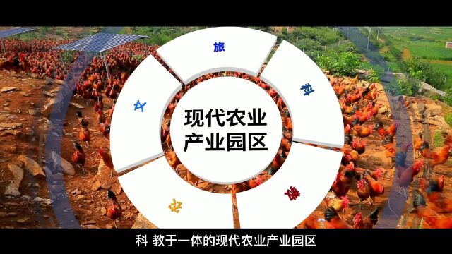 柱子山现代农业产业园