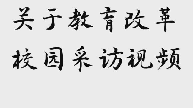 关于教育改革的校园采访